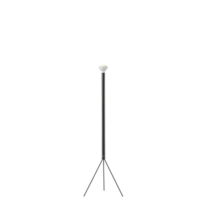 Flos - Luminator Floor Light - Scossa