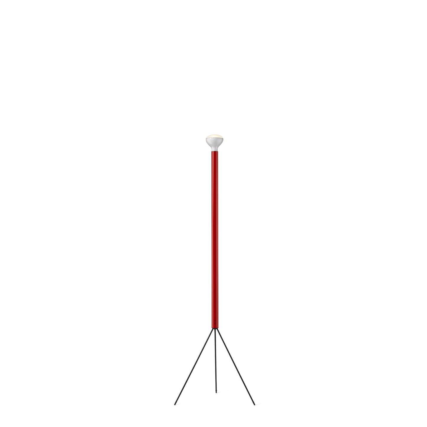 Flos - Luminator Floor Light - Scossa