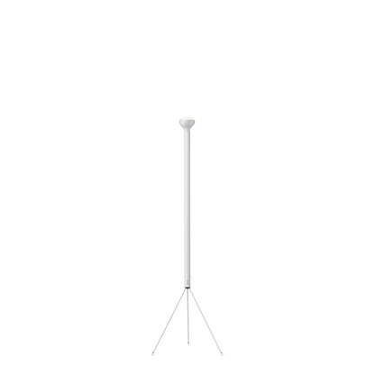 Flos - Luminator Floor Light - Scossa